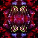 001 Flowers Others - 3 ply